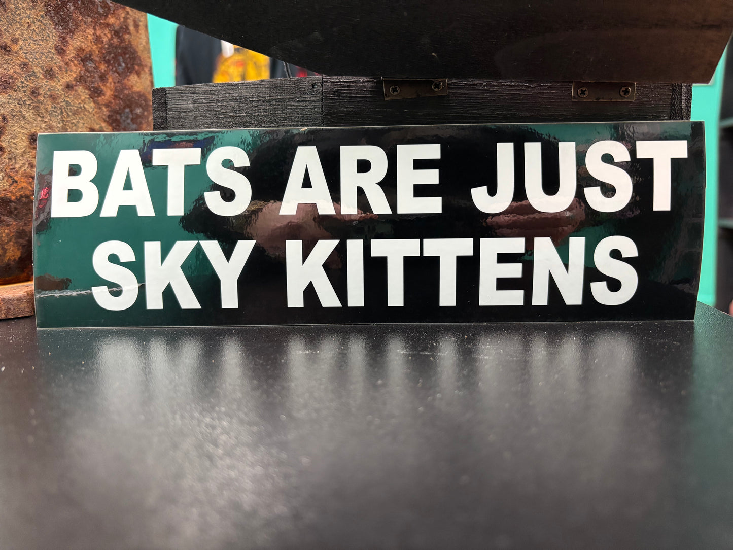 Bats Are Just Sky Kittens - Bumper Sticker