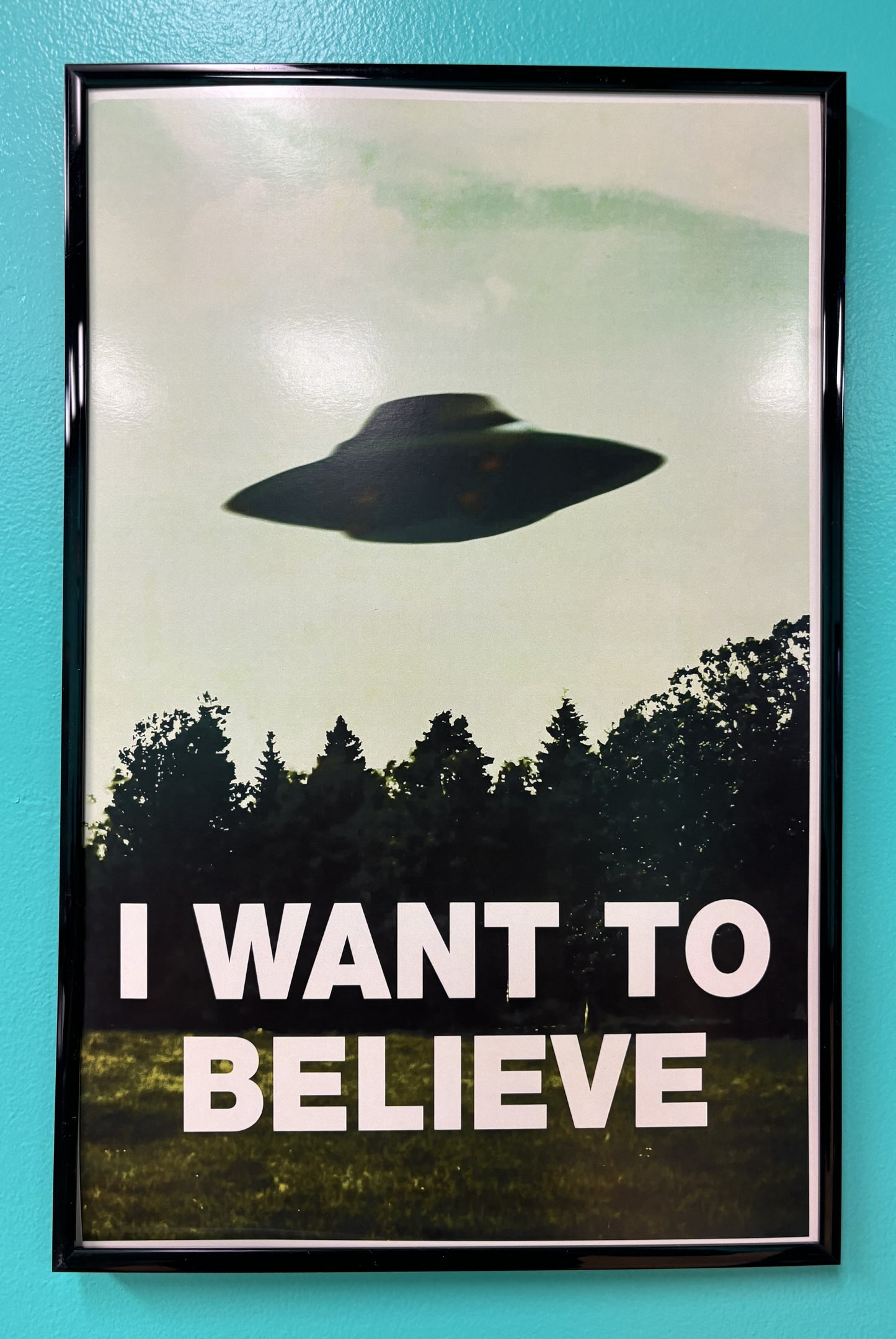 I Want To Believe - poster