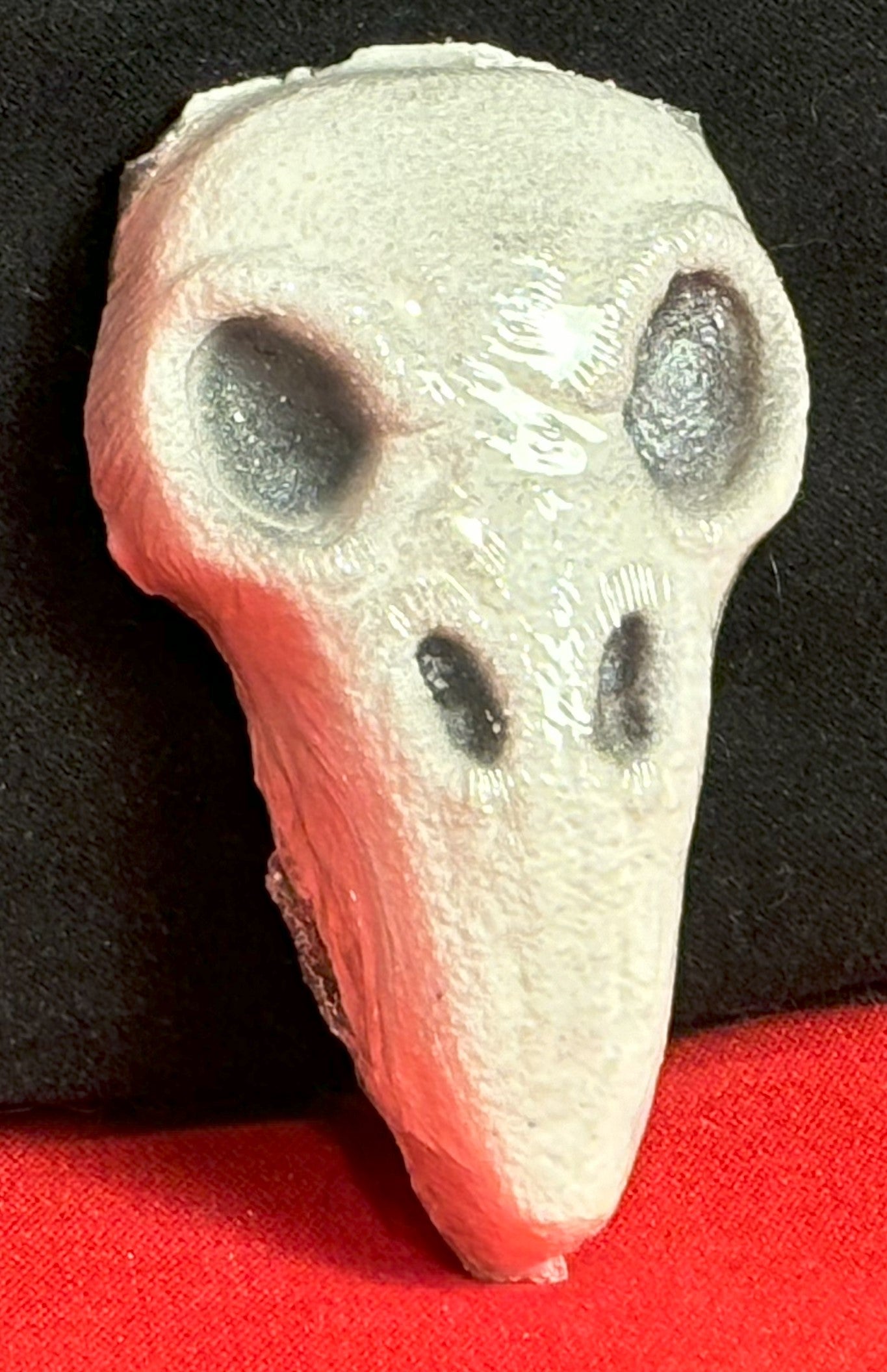 Raven Skull - Bath Bomb